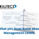 Management levels diagram